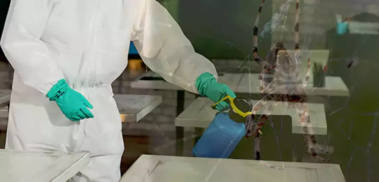 Why Buyers Still Want Homes With Pest Infestations in Bridgeport, CT?
