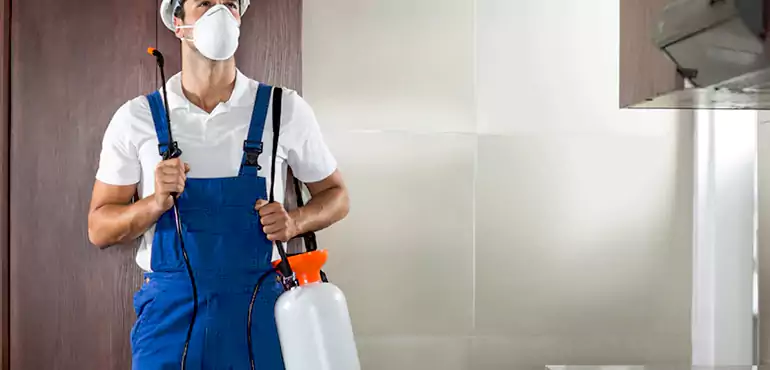 Why Bridgeport Homeowners Choose Us When Pests Make Selling Difficult