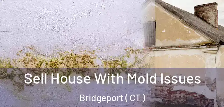  Sell House With Mold Issues Bridgeport ( CT )
